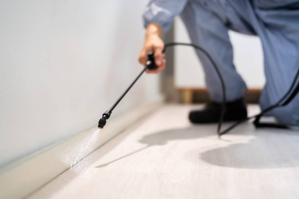 Certified termite inspector examining foundation in Perry
