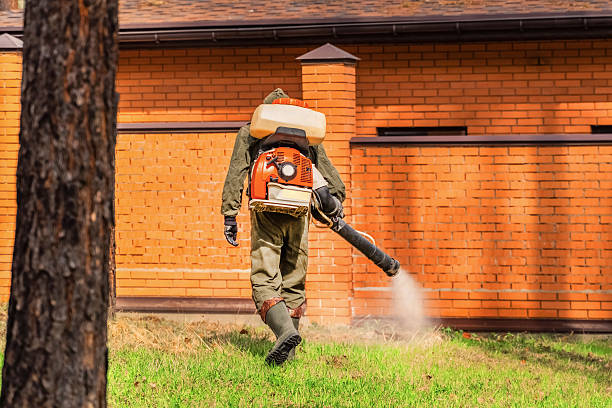 Top rated local Wasp Removal specialists in Perry, KS